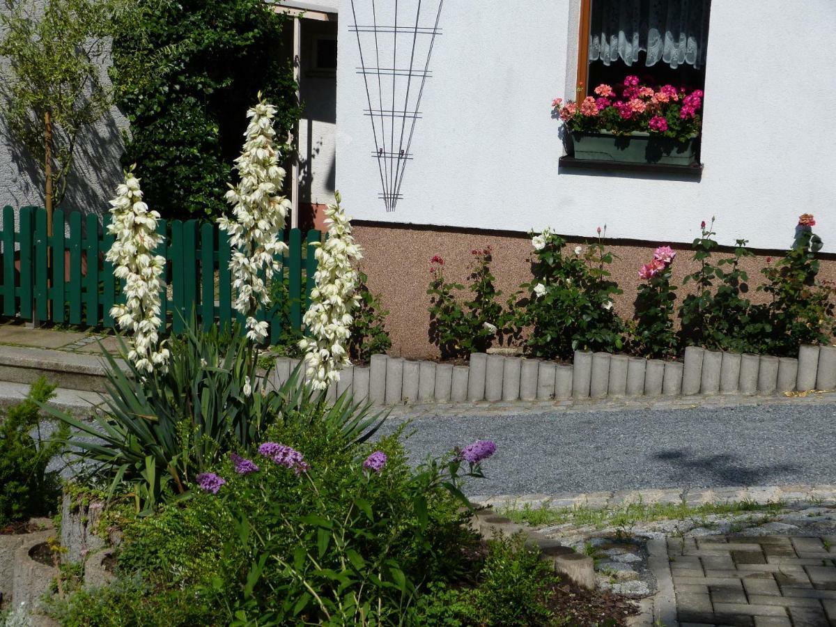 Pension Johannistal Sebnitz Exteriör bild